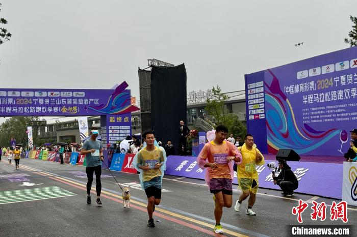 中国含“酒”量最高半程马拉松开跑，6000余名跑