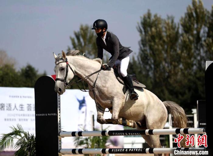 2024辽宁马术大奖赛沈阳收官 200余组人马共绘马术