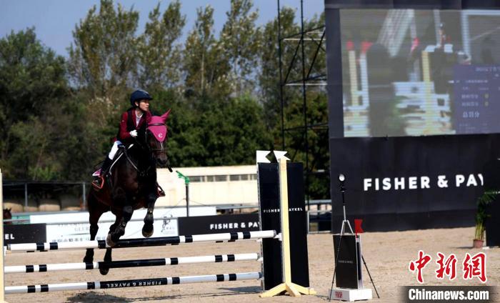 2024辽宁马术大奖赛沈阳收官 200余组人马共绘马术