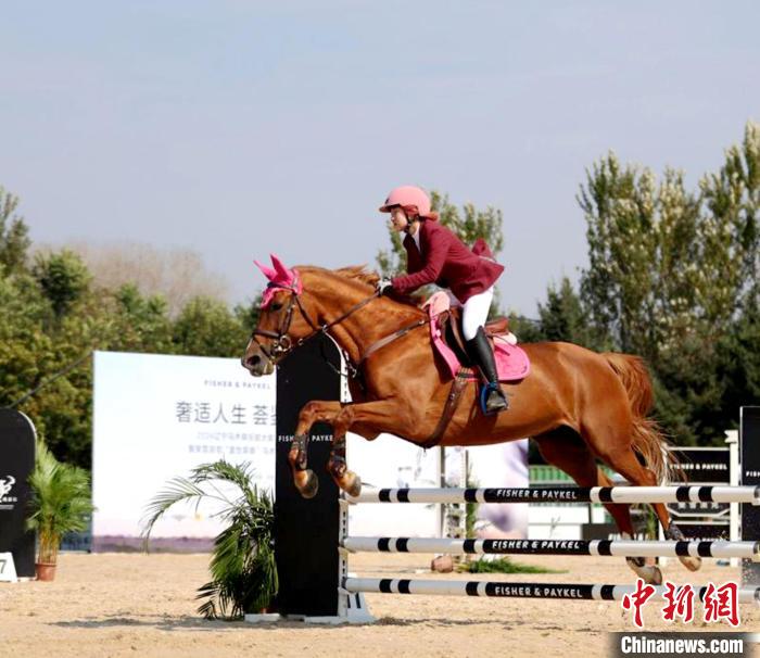 2024辽宁马术大奖赛沈阳收官 200余组人马共绘马术