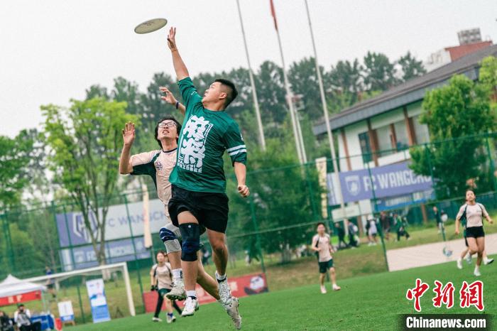 成都世运会团队飞盘分组揭晓 中国队与美德日同