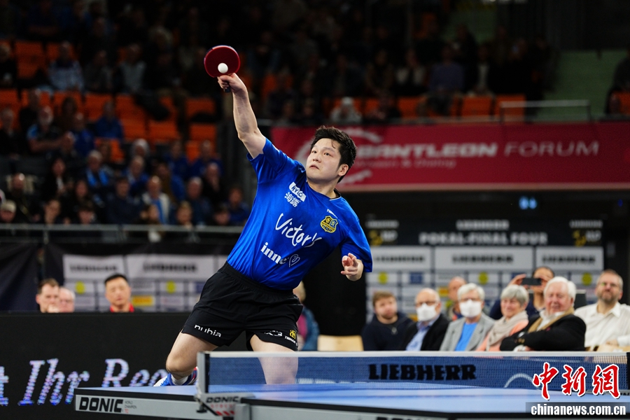 樊振东率萨尔布吕肯夺冠 德国杯首冠彰显留洋实